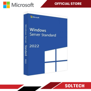 Microsoft Windows Server 2022 Standard